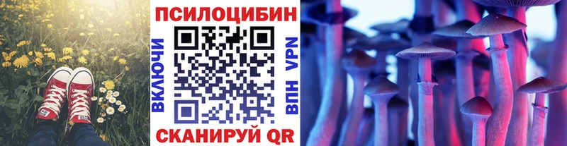 Псилоцибиновые грибы Psilocybe  где купить наркотик  Себеж 